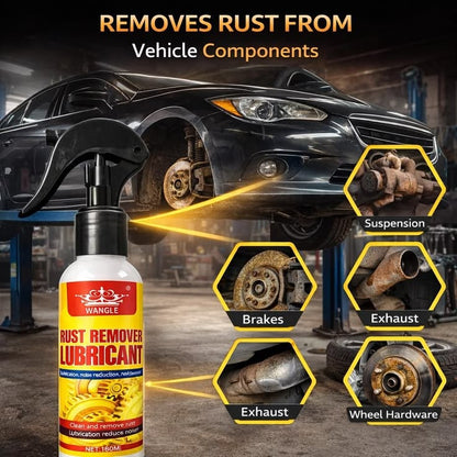 Rust Remover Lubricant 100 ml Pack of 1