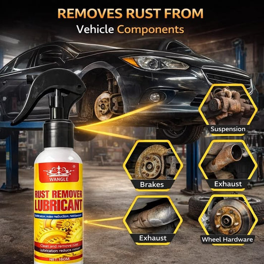 Rust Remover Lubricant 100 ml Pack of 1