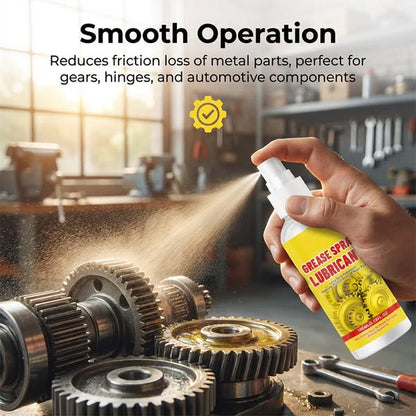 Rust Remover Lubricant 100 ml Pack of 1